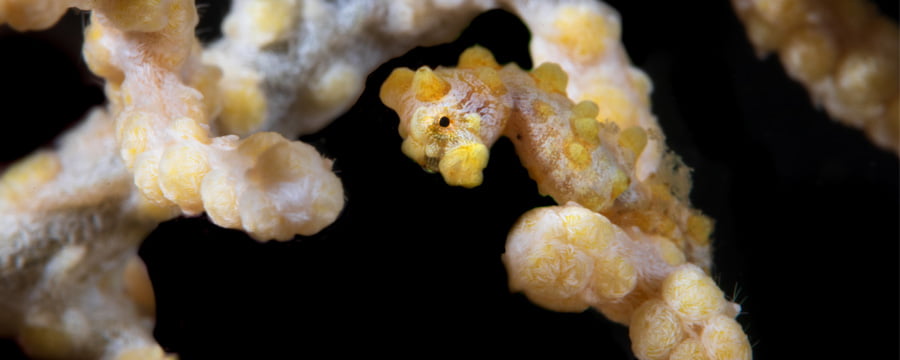 place-img