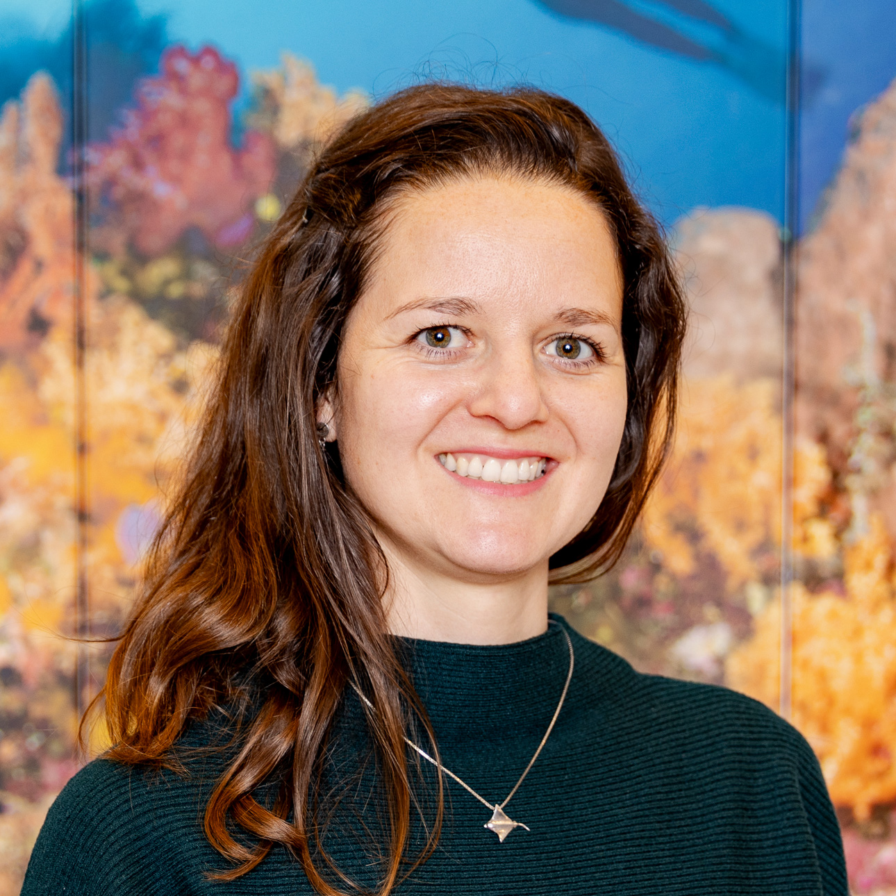 Please specify image url